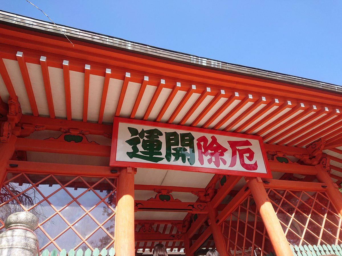 jtom225's tweet photo. お供のラビフィー&ポロン
と秋のお山
天気よすぎて眩しかった https://t.co/Z5xQI0ie00