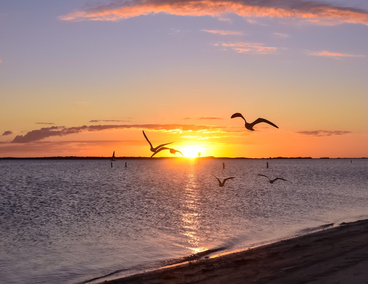 FloridianCreat1's tweet photo. Tonight’s Floridian Sunset ✌🏼🌞✌🏼 @StormHour @FLskygazer 🖖🏼🌞🖖🏼 https://t.co/UjhXG98LEj