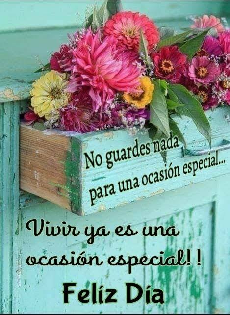 JOSE ✨🎶🎵💫 tweet media