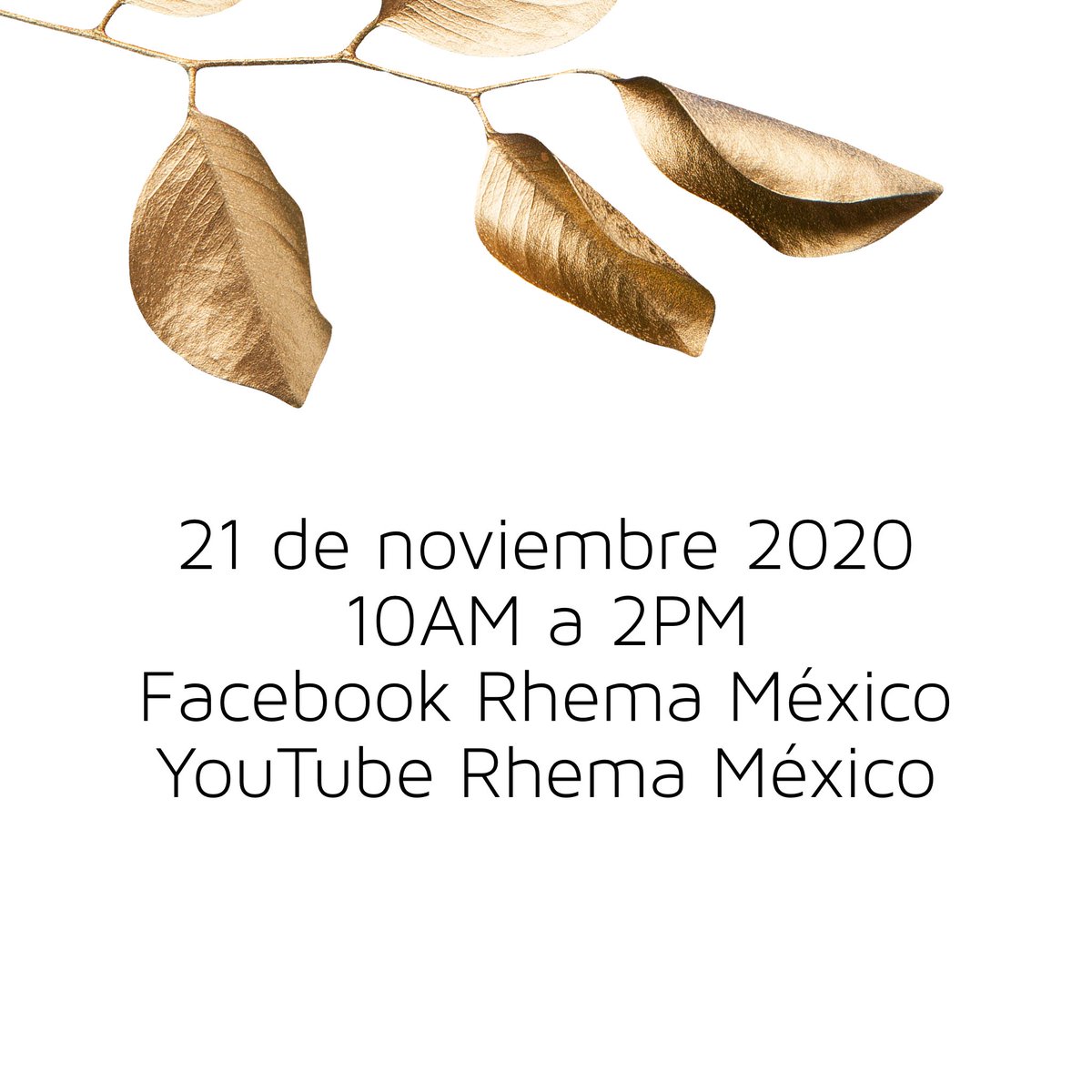 PstaRhondaME's tweet photo. - Organiza un watch party con tus amigas.
- Prepara los elementos de la Santa Cena y participa con nosotras.
- Empieza a orar por avivamiento.

.
.
.
.
#ME #MujeresExtravagantes #inquebrantable #unshakable #💜#conferencia #mujeres #mujerdefe #cristianas #mujeresvalientes https://t.co/McaFyoosgV