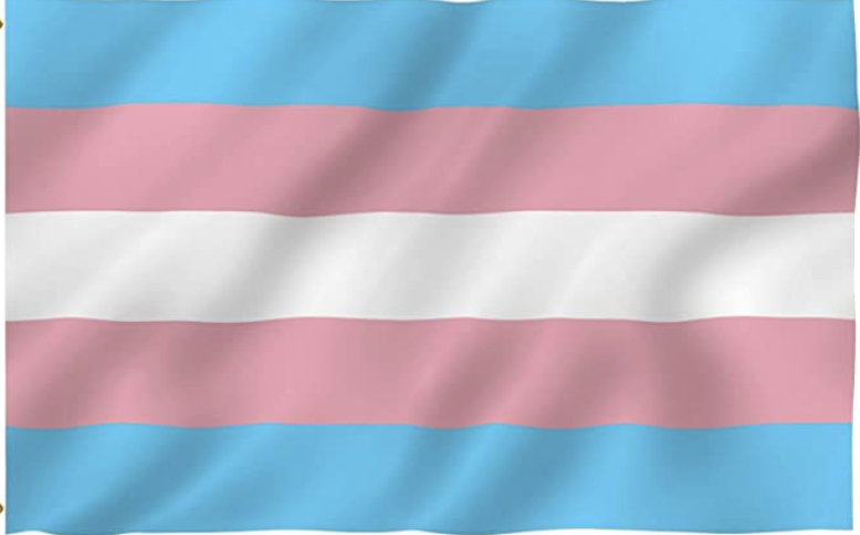Trans Lives Matter. We will keep saying it until everybody acknowledges it. The murder and persecution need to stop.

#TransDayOfRemembrance