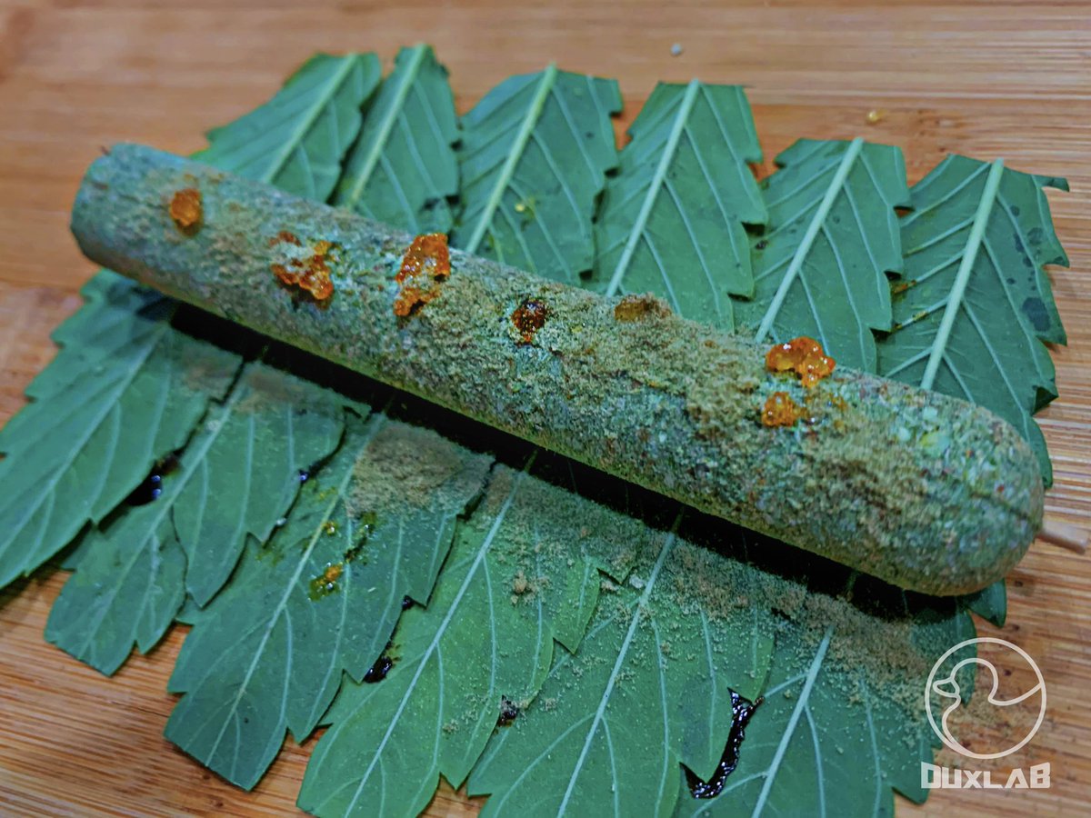 THEDUXLAB's tweet photo. The process of our #Cannagarsπ
These cannabis wrapped cigars bring your smoking game to a whole other level as they burn up to 3+ hours!
Made with cannabis leaves, 14 grams of quality flower, concentrates and kief.. Guaranteed to put you to sleepπ€£ #DUXLAB https://t.co/hwM2yYTQin