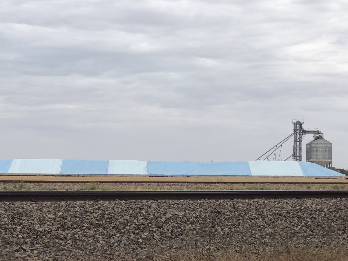RichardKonzag's tweet photo. @SturtFC even the grain bunkers are backing the #dublas for next season. @DavidEvans_GGL @RYANKONZAG https://t.co/SCifEc50dZ