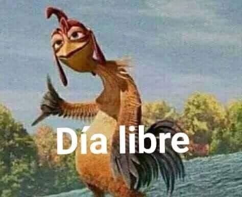 esposftSierra's tweet photo. Salvaron a @sierra_agus y no tenemos que votar https://t.co/5DvjooyCXZ