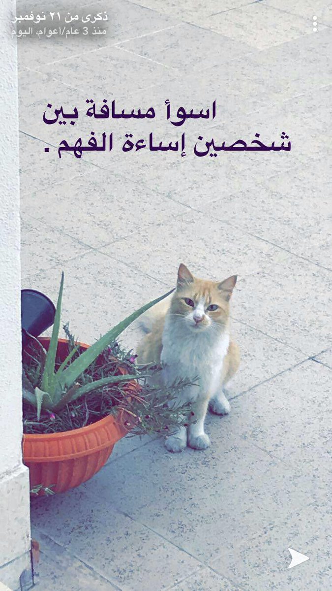 AAhs11's tweet photo. @jadelah10 حسب ... كل إنسان يتحسس من البطحة الله على راسه 
سواء قريب أو صديق وكذلك المتكلم إذا كان يحمل في يده  دبوس أو مشرط يصير حذر وحساس 👌🏼 https://t.co/pjlL7dQCjR
