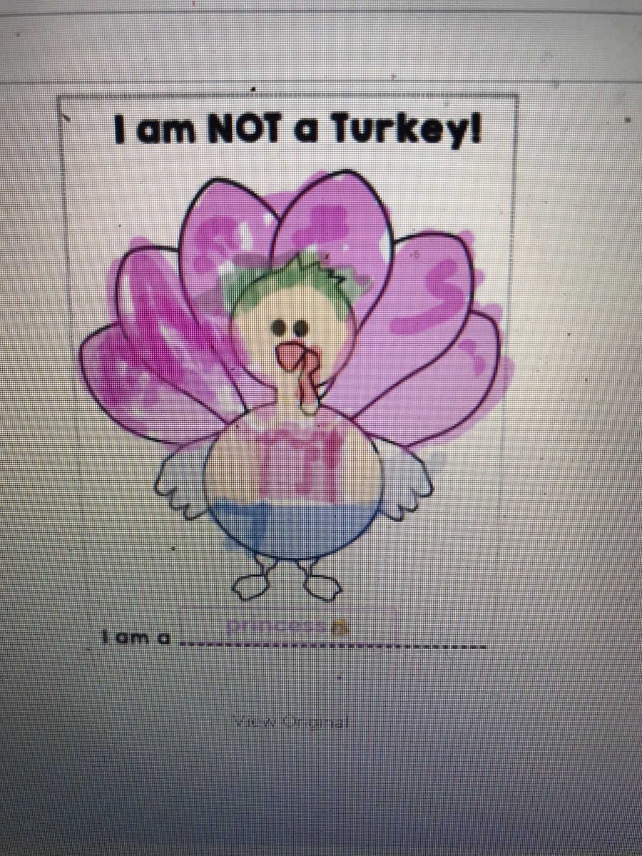 CMacius's tweet photo. Disguising our turkeys from Farmer Brown.
Great Job first graders! 🦃 @SJS_Bulldogs https://t.co/UIUTWLMyyG