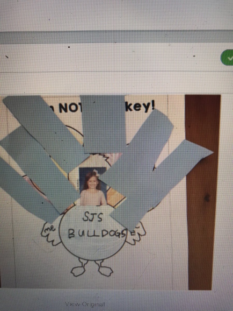 Disguising our turkeys from Farmer Brown.
Great Job first graders! 🦃 <a href="/SJS_Bulldogs/">St. James School_AH</a>