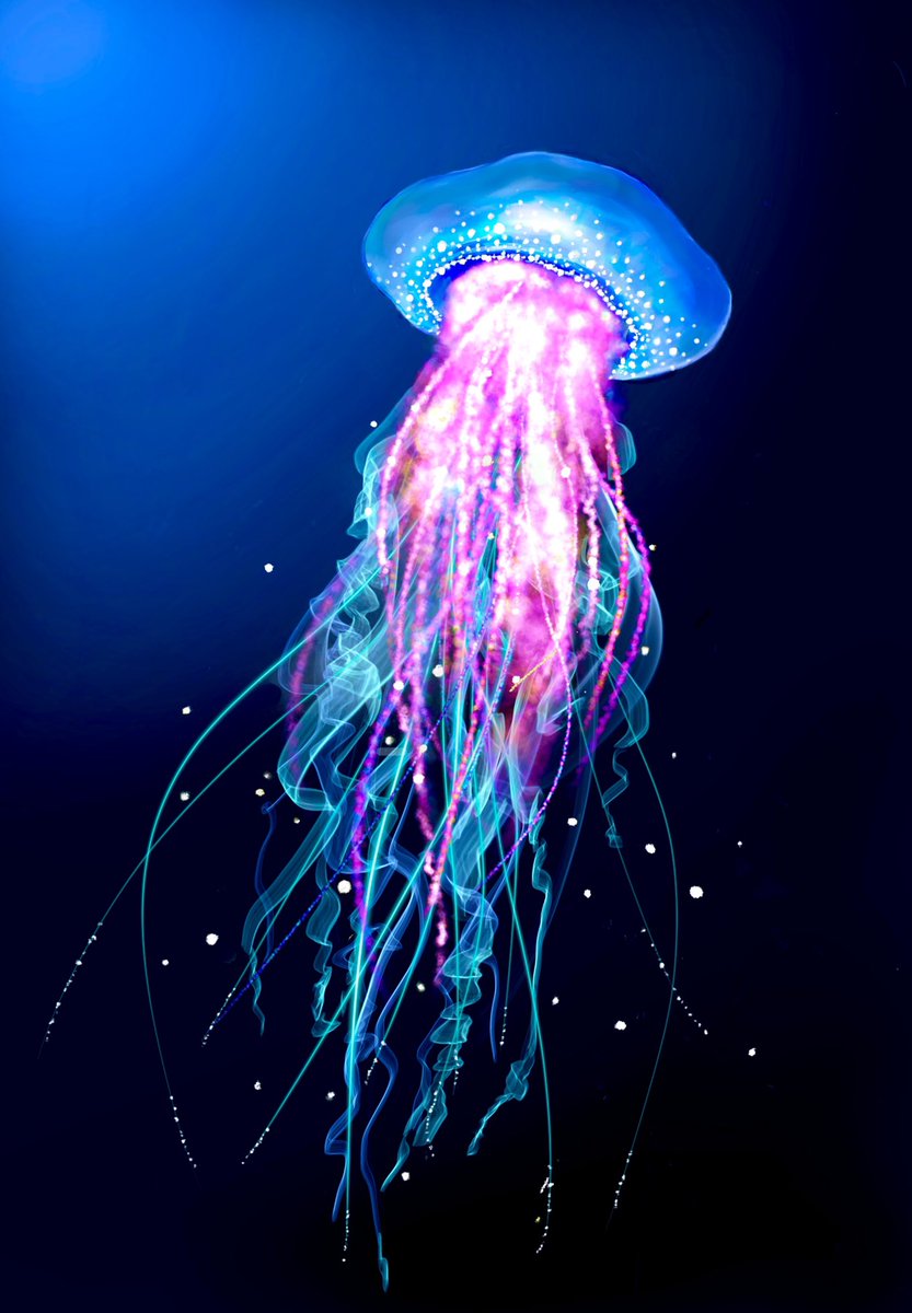 藤野マナミ アルバムtransparent発売中 Marine Snow 降りつもる 闇夜の彼方 って感じ ユラ ユラ ユララ モスバーガーの次はクラゲです 好きなものを描くのは楽しいわ 僕らの旅はつづくよ Ipadお絵かき Amity先生 水中家族のテーマ