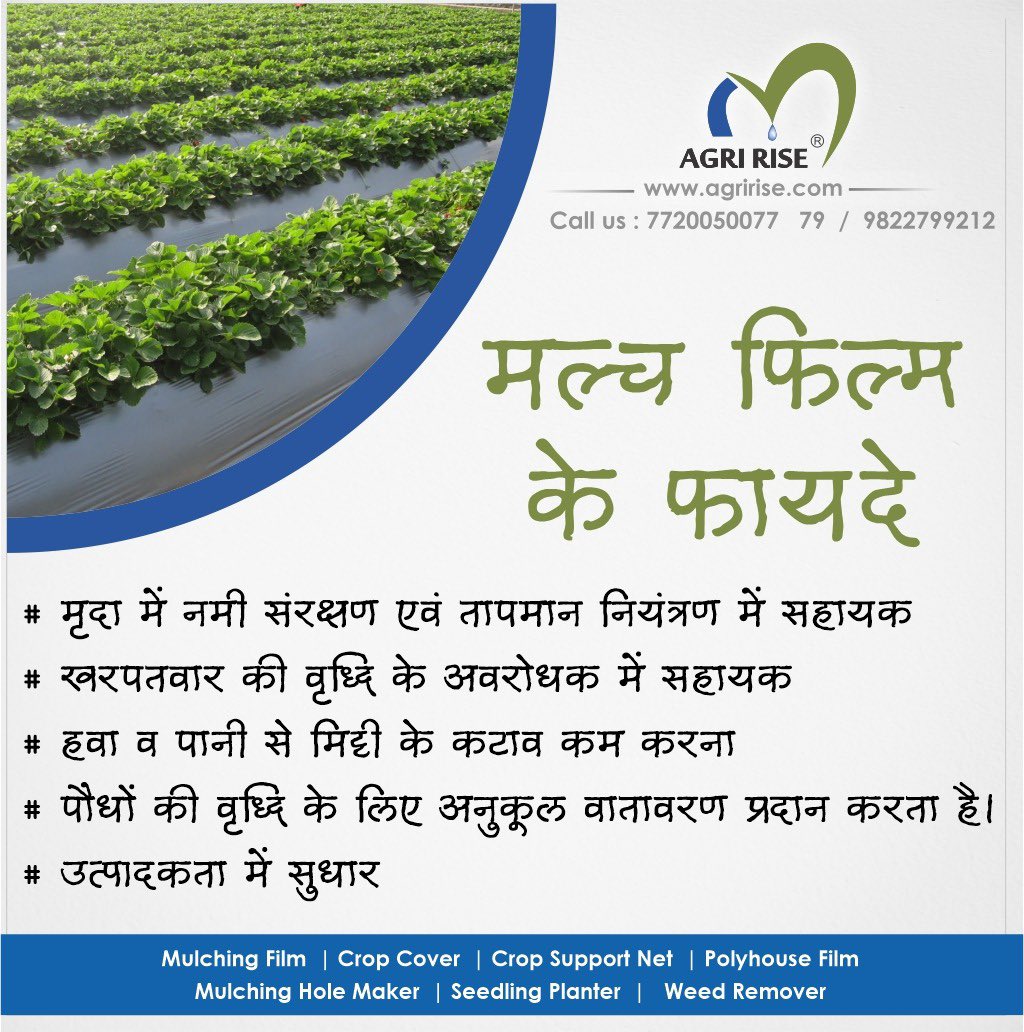 agririse's tweet photo. मल्च फिल्म के फायदे :

#mulching #mulchingpaper #mulchingcovercrop #cropcover #cropcovering #smartfarming #indianfarmer #indianfarmers #indianfarmer🌾 #indianfarmerslife #indianfarmersmarket #maharashtra #uttarpradesh #uttarakhand #hariyana #jharkhand #nasik #nashik #Agririse https://t.co/GG97eRqXD2