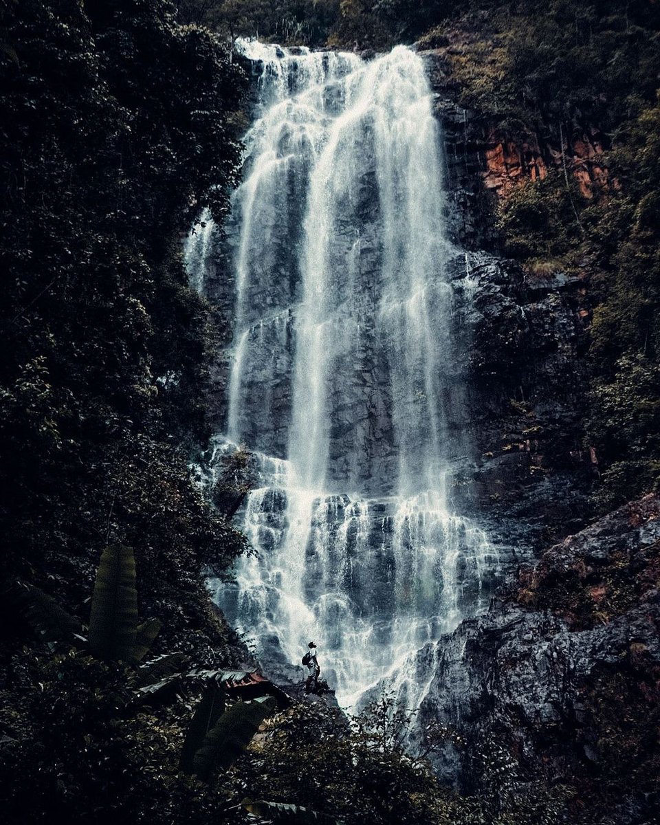 TourismMalaysia's tweet photo. Congratulations Najmuddin Muif the winner of #NatGeoMomentsofJoy contest. His photo entry of the Temurun Waterfall, Langkawi has been recognised by the professional judges, and has been crowned the winner!
Malaysia is proud of you.
https://t.co/ewZCTT5jPv
#MalaysiaTrulyAsia https://t.co/mPZaaruxwv