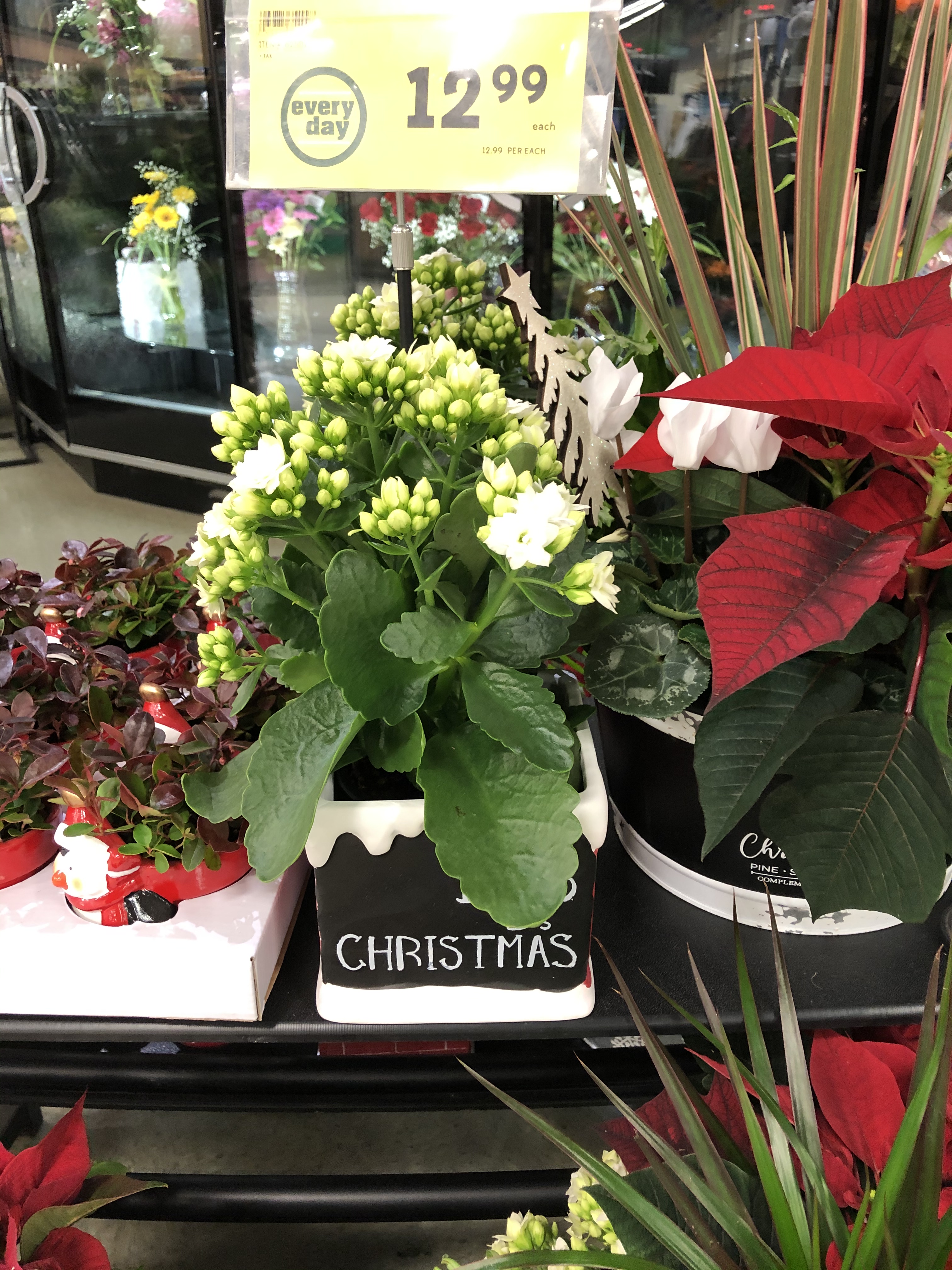 Sobeys flowers discount