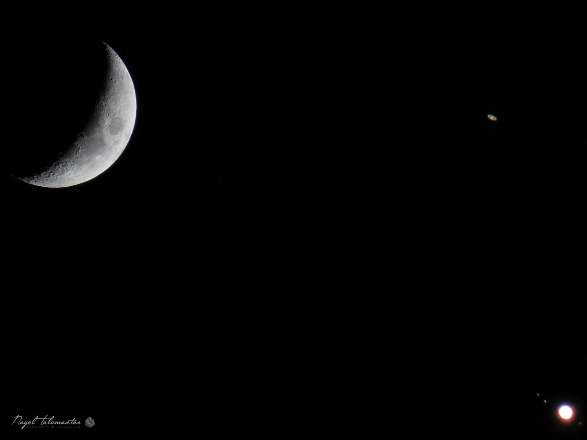 ermioni_D's tweet image. Crescent moon, Saturn &amp;amp; Jupiter with the three #Galilean moons forming a triangle.

#astrofotografia #NightPhotography #moon 
#Astrophotography by Nayel Talamantes #astronomy  

#light #Saturday #SaturdayMorning #Moon #astronomt #astronomia #luna #moon #saturn #Jupiter 
#Cosmos