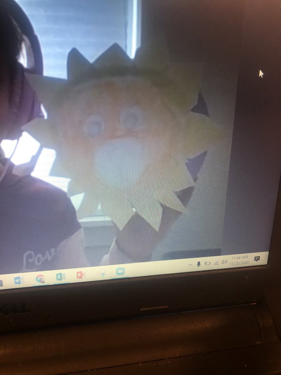 Heidi Smith 🌈 tweet media