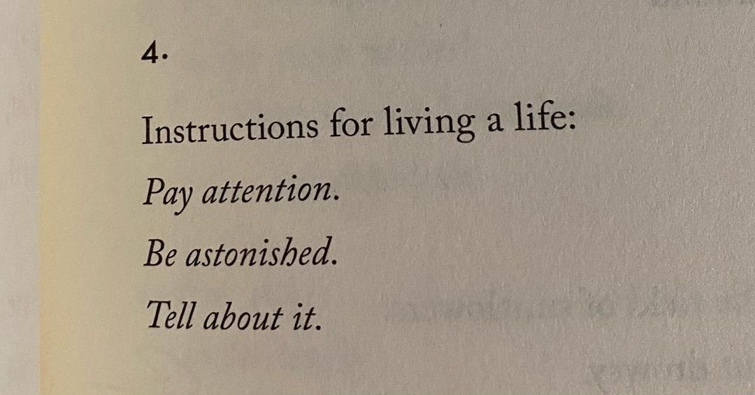 thank you Mary Oliver