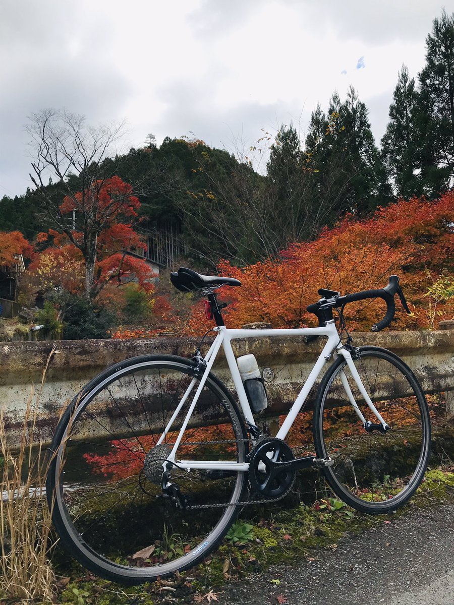 mine_moriaki's tweet photo. シクロ車で代用し続けてたけどやっぱりロード欲しくなったので買いました🚲
#ブリジストンサイクル #RNC7 軟らかいけどハリとコシのある乗り味。見た目通り��饂飩号🚴♂️ #クロモリロード #neocot https://t.co/UbZPTRA0Lr