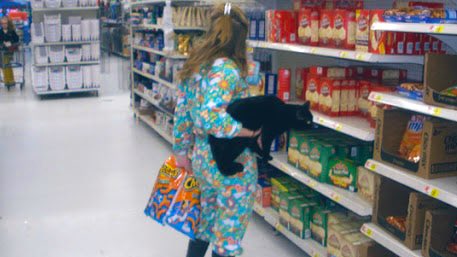 GeneralCattis's tweet photo. #IsItWeird to take your cat to Walmart? (Of course not—how else will we get what we want?) https://t.co/BGybznKbTu
