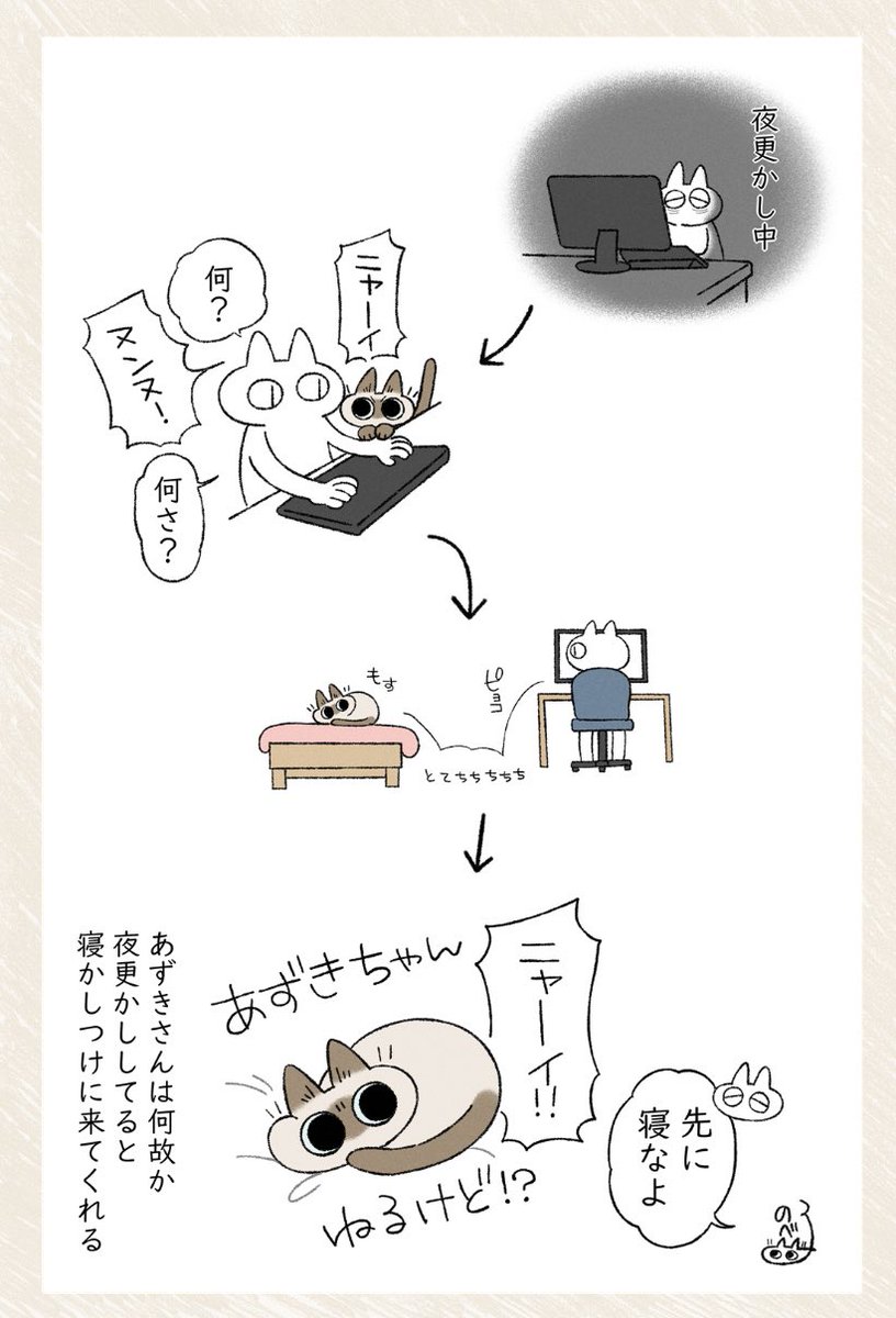 意外と規則正しいあずきさん #シャム猫あずきさんは世界の中心 