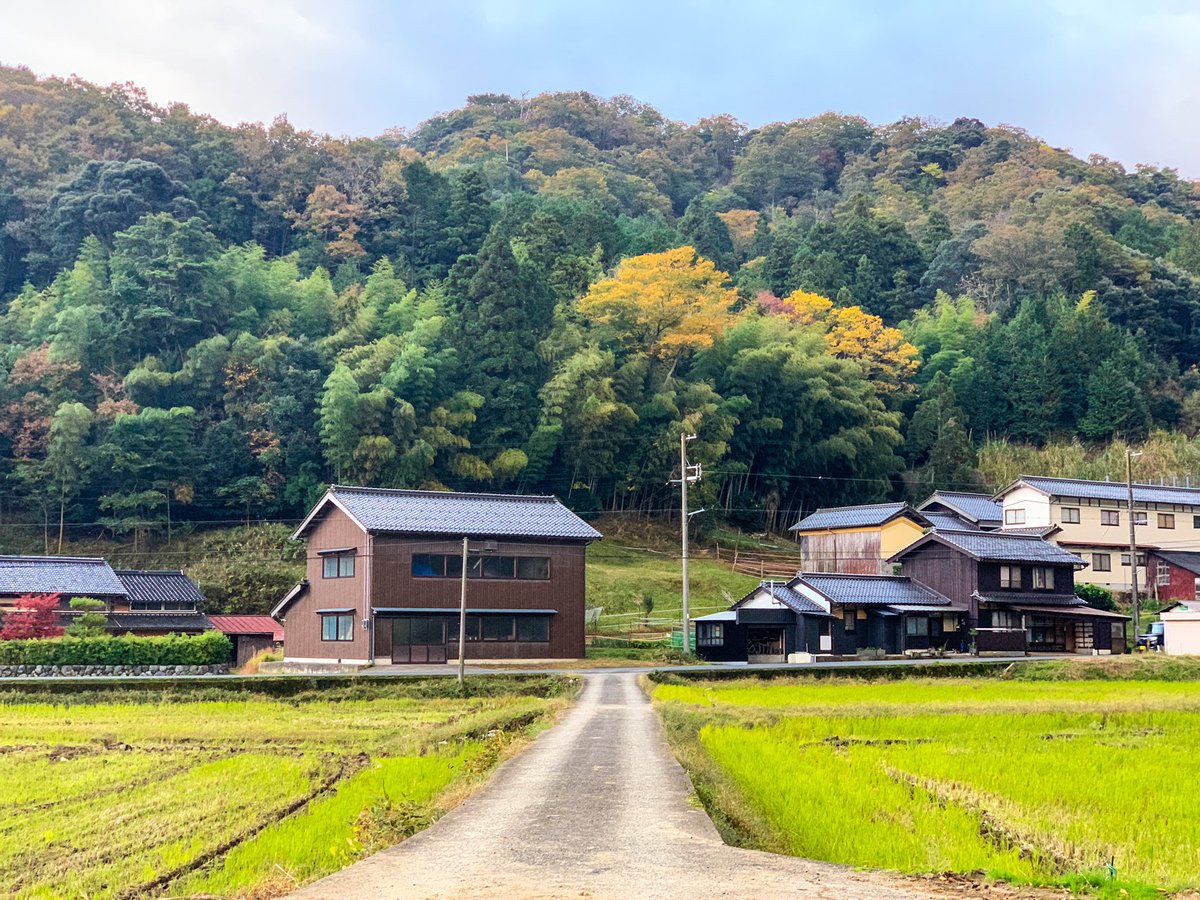 田舎の風景画像