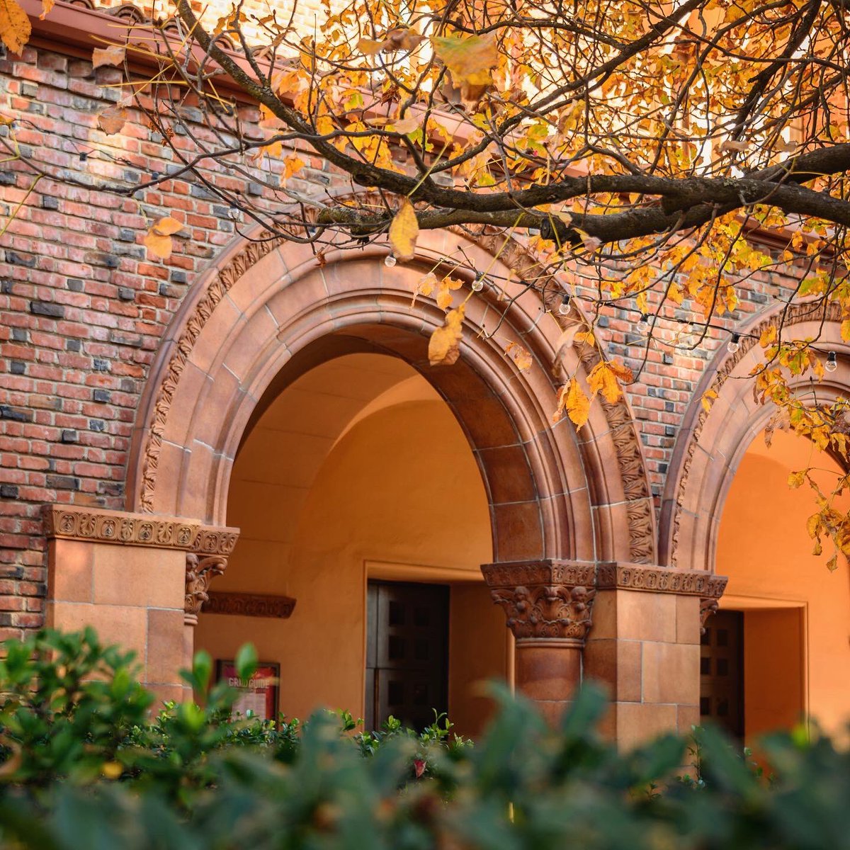 JasonHalley_CSU's tweet image. Sorry Andy Williams, this is the most wonderful time of the year. 🍁🍂 #ThisIsChico @chicostate #WildcatsTerritory
