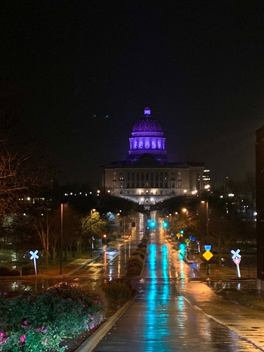 FirstLadyTeresa's tweet photo. The Missouri State Capitol dome and Governor’s Mansion will shine purple Friday through Sunday in recognition of National Adoption Month!!

The color purple represents the 1,579 Missouri children and youth in foster care who are looking for a forever family. #AdoptMOKids https://t.co/LoHW66ECGM