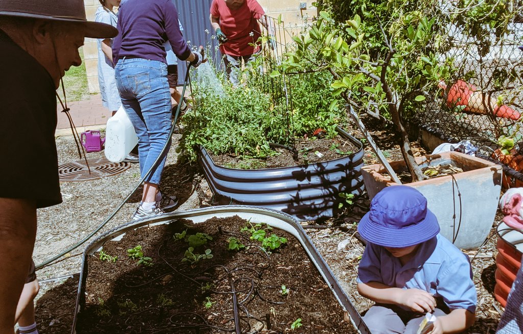 SAWanneroo's tweet photo. We are so grateful to all the grandparents who came along to our first Grandparents Who Garden session. Thank you for sharing your wisdom and patience and for helping the children connect with nature #gratitude #StAnthonysWay #United #LaudatoSi https://t.co/O8bJyjJI2I