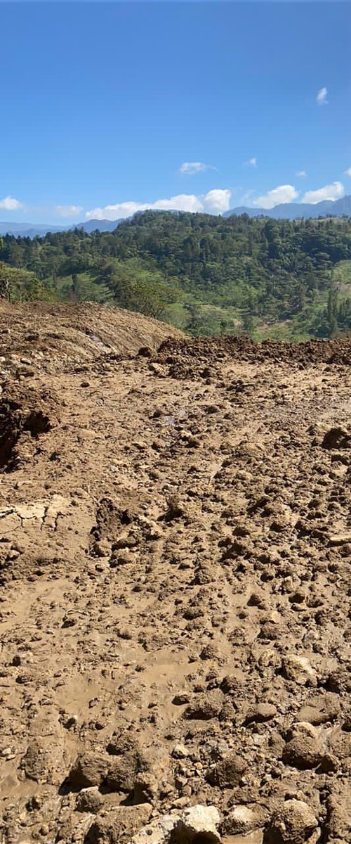 Agrega tweet media
