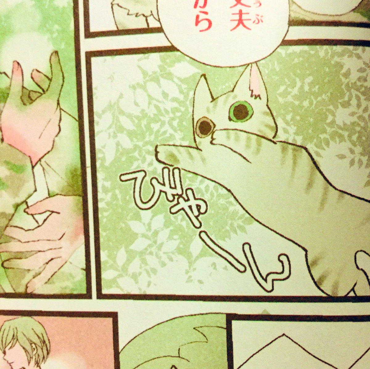 今回も漫画を16P描かせていただきました。
『キミが連れてきたミラクル』オッドアイの猫のお話。
みやうち沙矢先生のさわやかな表紙絵。大ボリュームの児童書です。現在予約中。
よろしくお願いします。
ミラクルラブリー 感動のどうぶつ物語 未来の翼   青空純 https://t.co/kFcPhbq8bK @amazonJPより 