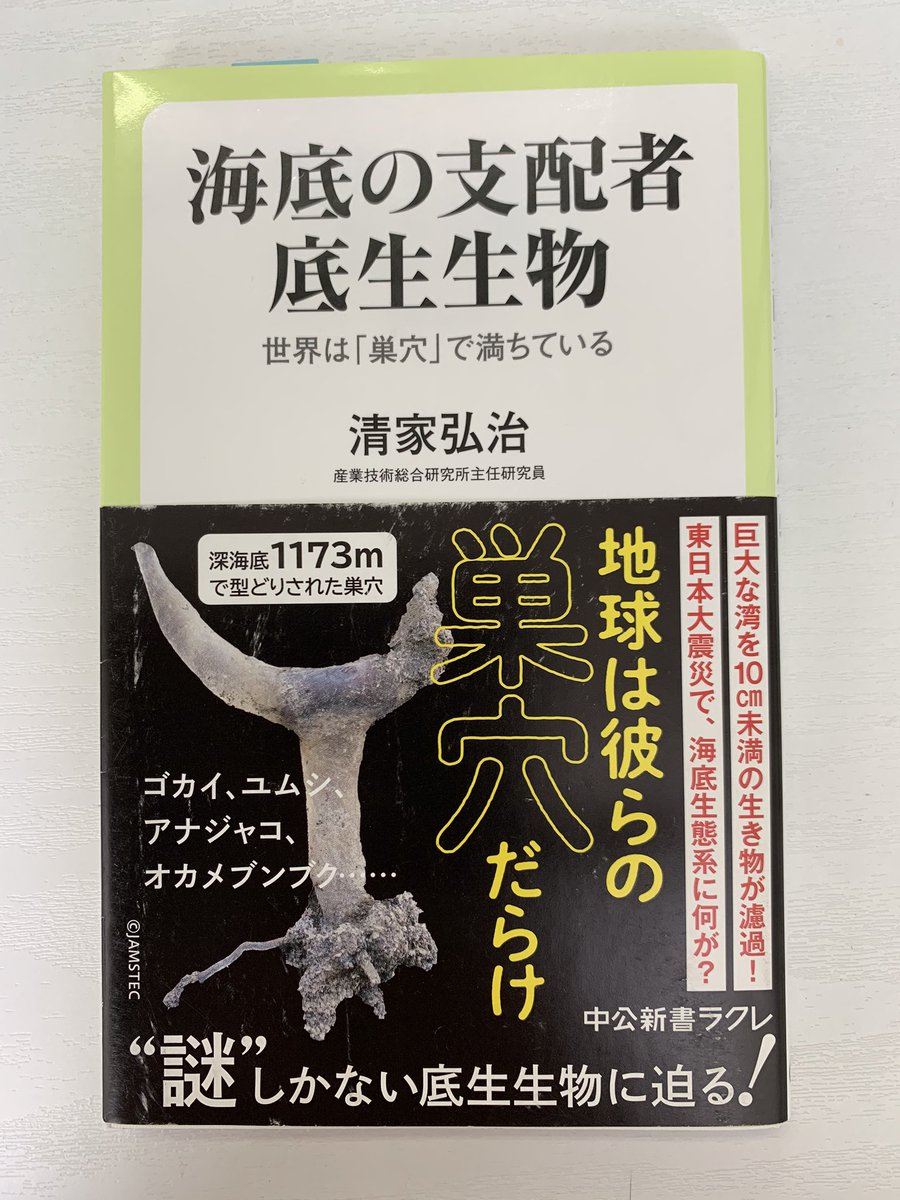 M つまり アナジャコの巣穴は 海水を巣穴に流し込み プランクトンなどの浮遊物を濾過するという空気清浄機のような役割を果たしている 1500ヘクタールくらいの大きさの干潟の場合 満潮時に入ってくる水のほぼ全てがアナジャコの巣穴で濾過されている M つまり アナジャコの巣穴は 海水を巣穴に流し込み プランクトンなどの浮遊物を濾過するという空気清浄機のような役割を果たしている 1500ヘクタールくらいの大きさの干潟の場合 満潮時に入ってくる水のほぼ全てがアナジャコの巣穴で濾過されている