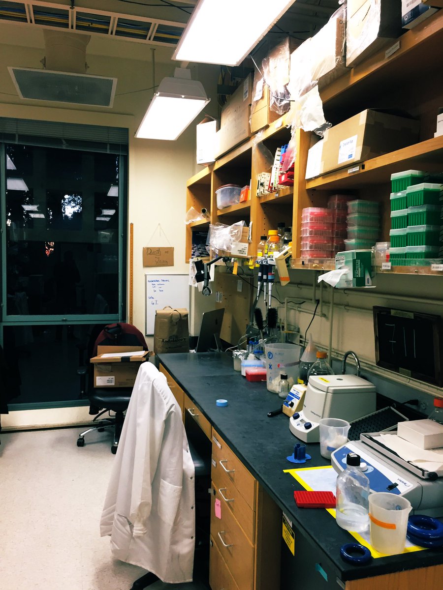 Wrapping up six years working in  @russellevance ’s lab- most of it on this bench. Hard to say goodbye, but excited to move forward.