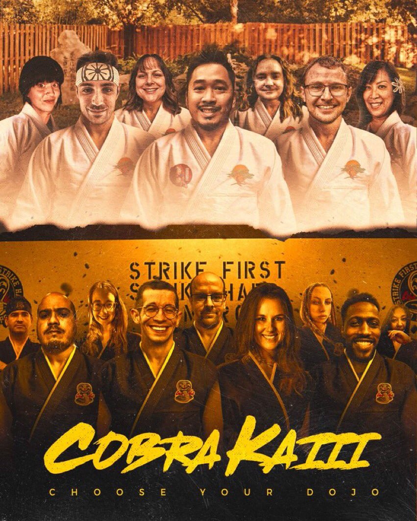 Jon Hurwitz on X: Look at @LetsBeWater coming in hot with this Season 6  fan poster! #CobraKai #Netflix #FanArt  / X