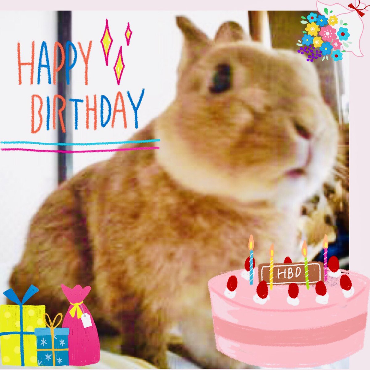 うちのうさぎと寺社ノート Rabbit Jisha Twitter