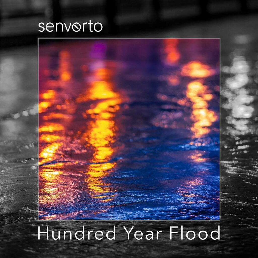 senvorto tweet picture