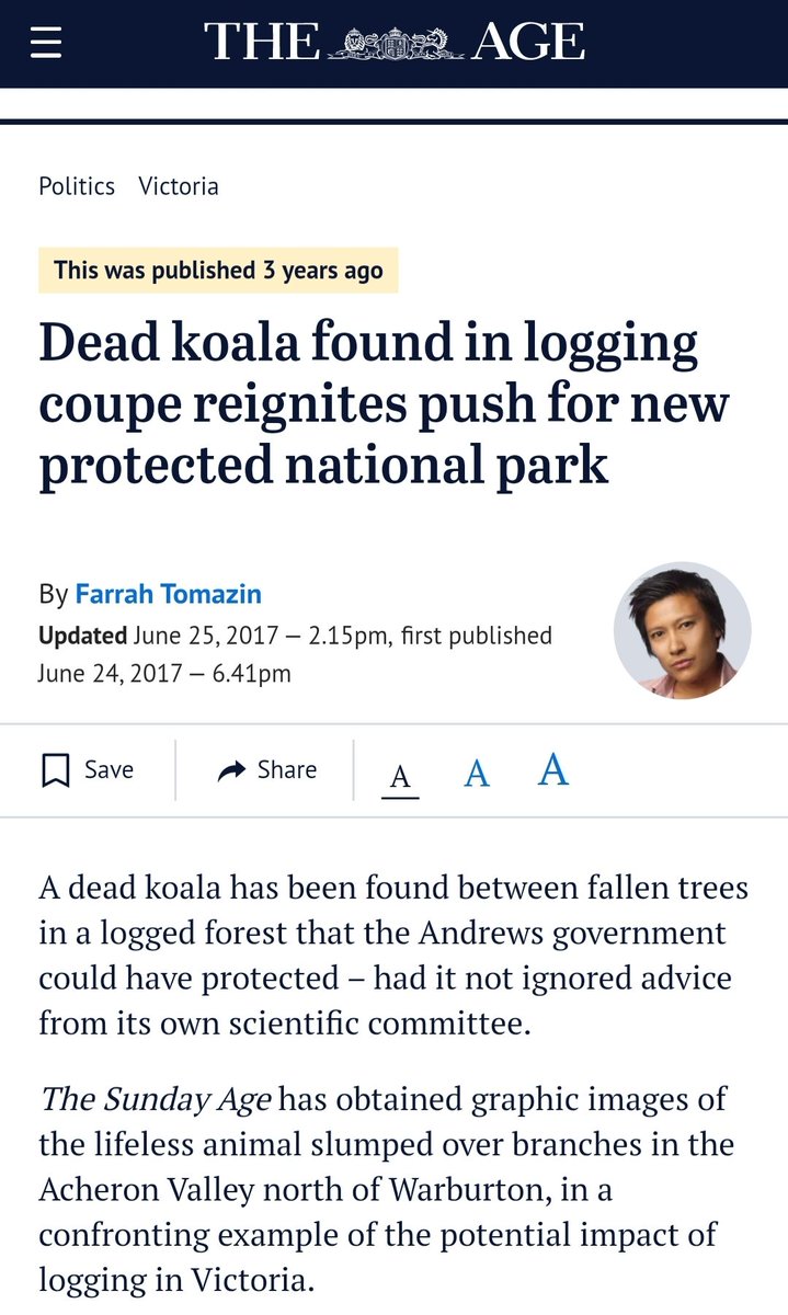 Three years ago, a dead koala in a logging coupe caused some momentary handwringing by the Environment Minister @LilyDAmbrosioNothing has changed. The government is still unable or unwilling to restrain its own logging agency from harming native animals.  #koalakiller