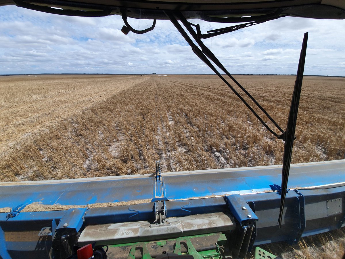 George Carmody tweet media