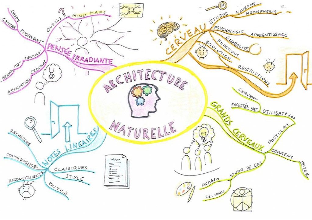 Connaissez-vous la puissance du Mind Mapping ?

Nous vous présentons Fabienne De Broeck experte en mind mapping, chercheuse de sens et de paix.

Découvrez son blog sur le thème : "Ce que nous apprennent les Dys sur le fonctionnement de notre cerveau"