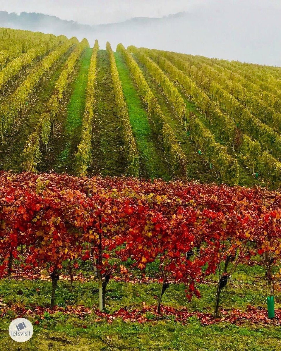 Let's Visit Piemonte tweet media