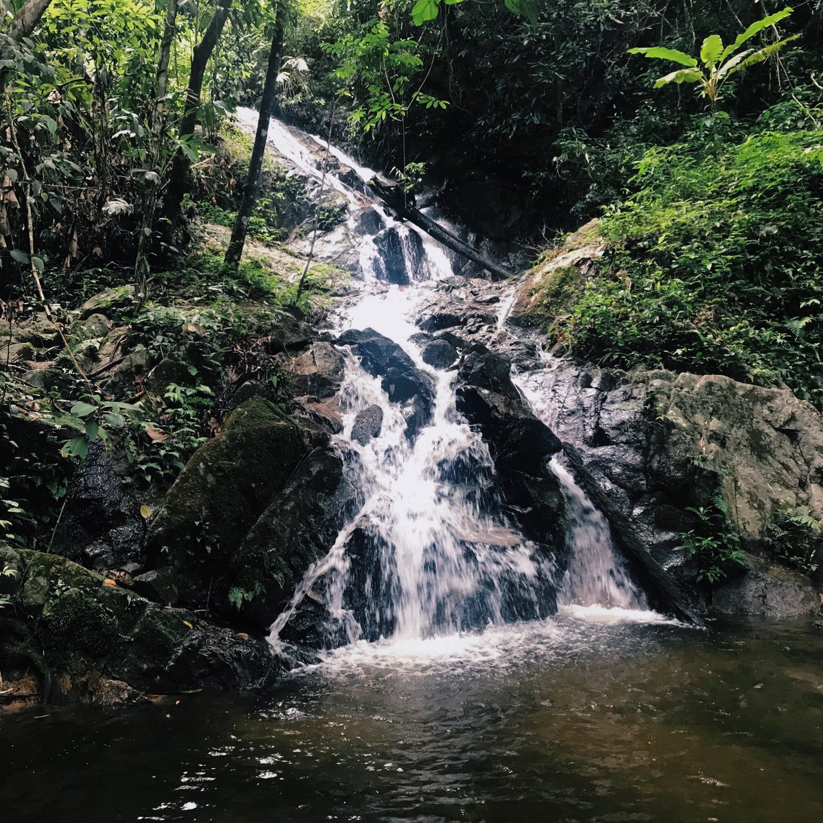 Travelingwith12's tweet photo. แม่กำปอง 🤍

📸 @pugnung4 

#เชียงใหม่  #ที่เที่ยวเชียงใหม่ #รีวิวที่เที่ยว https://t.co/BI0rcaj557