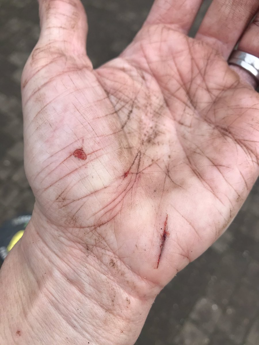 Lisa Eckersley 💙 tweet media