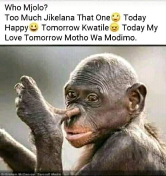 TheratheDj's tweet photo. Hayi angeke sbali #balekaa https://t.co/Brmip9HpOZ