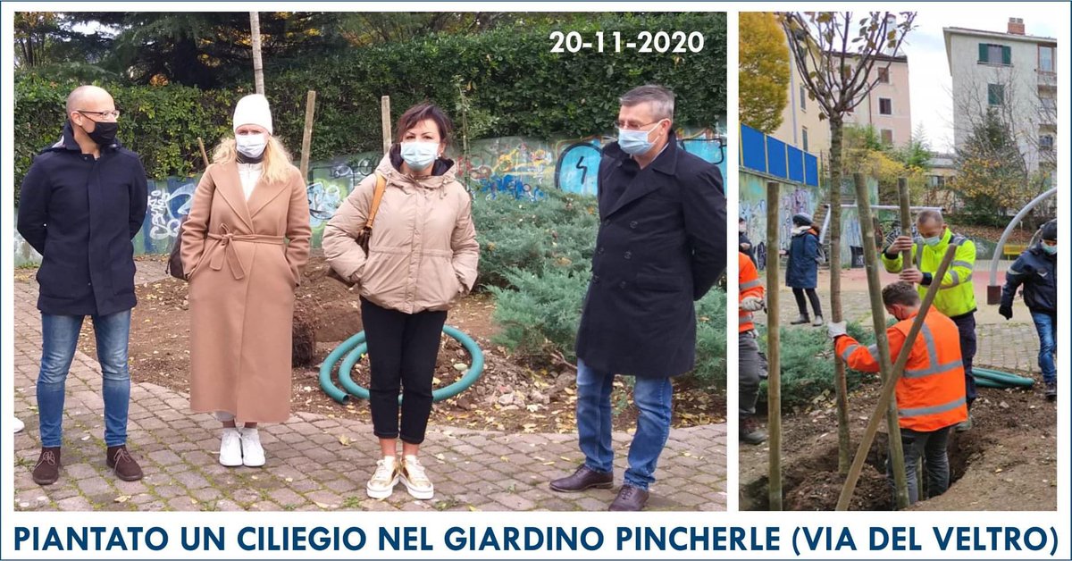 robertodubs's tweet photo. Piantato ciliegio nel giardino di  Via Del Veltro.  #trieste #giornatamondialealbero 🌳@ComunediTrieste #quintacircoscrizione 
👉 https://t.co/gM9JMLEB7Q https://t.co/zv4OTNkaC6