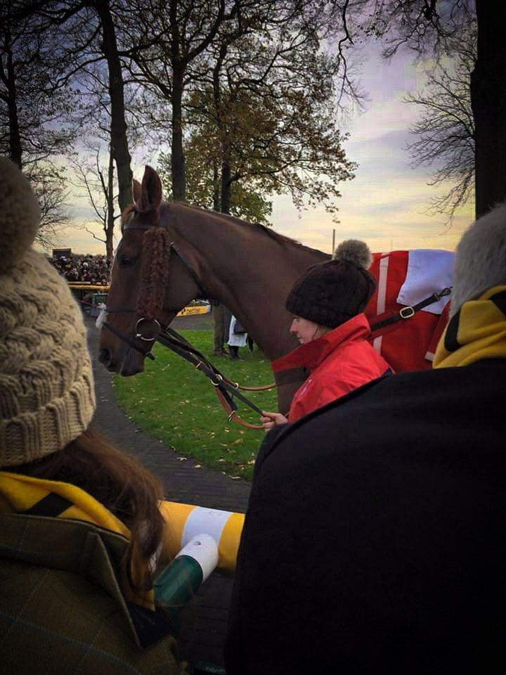 Throw back to my first ever Betfair Chase day where I was lucky enough to see the hero that is Silviniaco Conti run. He didn't win, but a certain Cue Card did! What a wonderful day that was! Hope he's having fun with the other champions over Rainbow Bridge #Haydock #BetfairChase