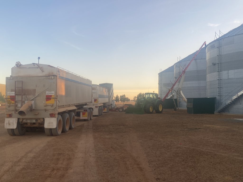 RobertKathyran1's tweet photo. We are into harvesting the lupin’s now #pearlsofprotein and time to load some silo’s so the supply of @My_Prov_Kitchen ‘s pancakes and other goodies can continue. Gotta love Ag 👨🌾❤️🌱 https://t.co/jIpcjGlABK