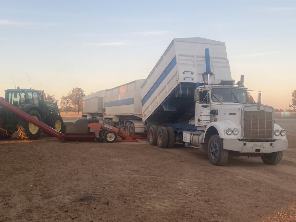 RobertKathyran1's tweet photo. We are into harvesting the lupin’s now #pearlsofprotein and time to load some silo’s so the supply of @My_Prov_Kitchen ‘s pancakes and other goodies can continue. Gotta love Ag 👨🌾❤️🌱 https://t.co/jIpcjGlABK