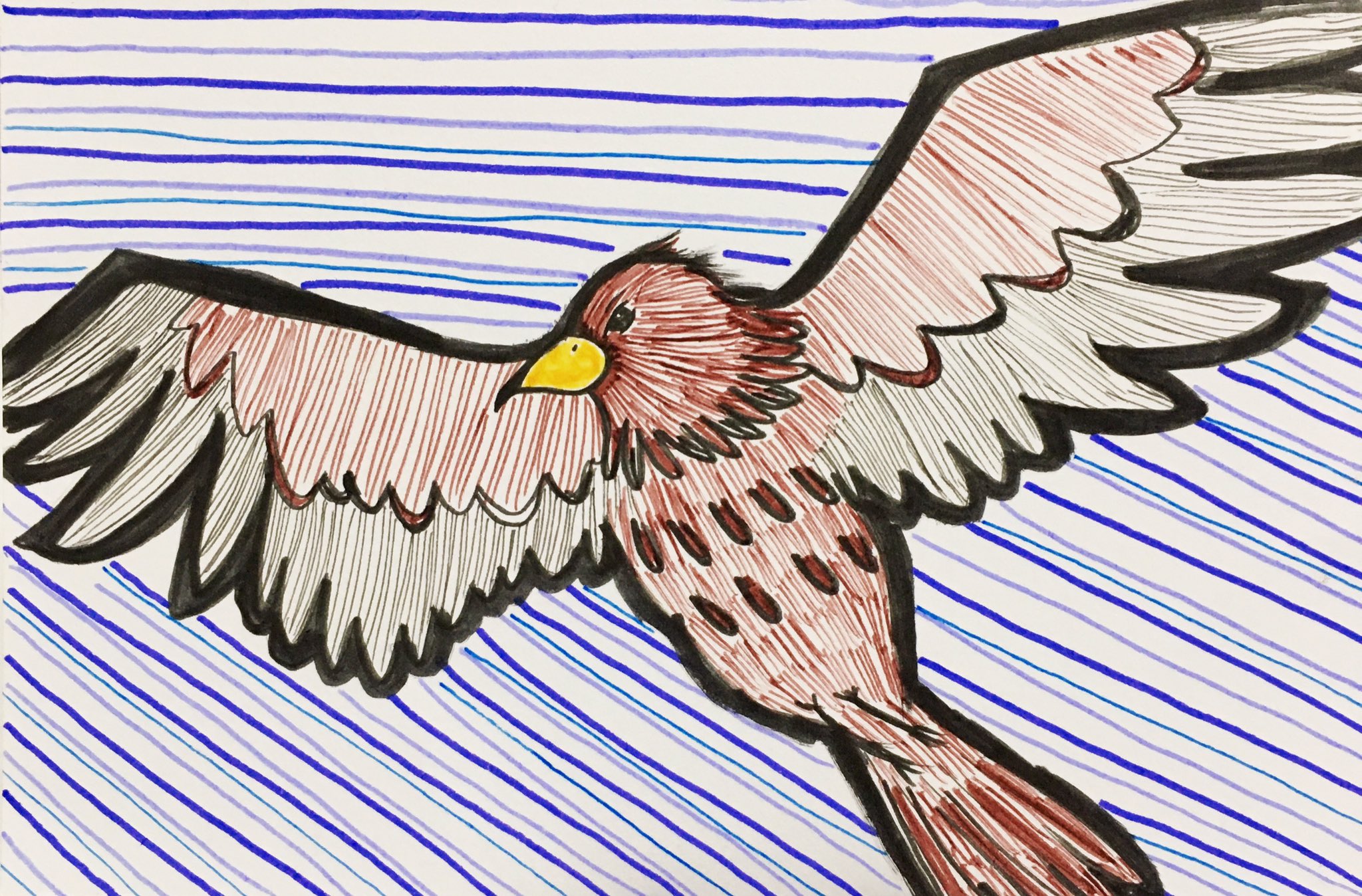 Naaa とんび トンビ 鳶 トビ 手描き アナログ絵 イラスト アナログイラスト 毎日 カラフル しりとり Illustration Illustragram 空を舞う かっこいい 鳥 T Co Olbvo6uuqr Twitter