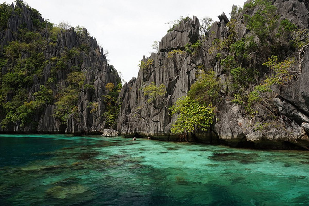 LynnePingoy_'s tweet photo. @cat40772 @StartTheWave Busuanga Island, Palawan, Philippines 🇵🇭
The Last Frontier of the Philippines
#StarTheWave #STWEnvironment #EarpitForward #Earper
© https://t.co/htMi9Cy6Eg