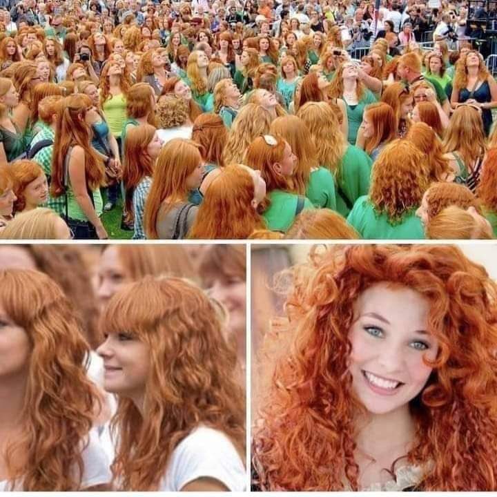 barisdoster_'s tweet photo. Kızıl saçlılar festivali İrlanda, Dublin. https://t.co/5z29QQ3HEy
