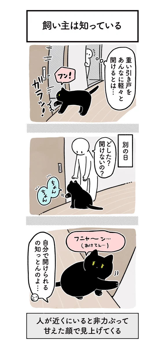 やっぱり猫は自分の可愛さに気づいてる？猫の能力の高さには驚かされる！