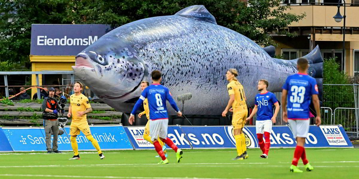 But then again perhaps nothing should come as a surprise at a club as special as Bodø/Glimt (Glimt being Norwegian for flash) where supporters bring novelty sized toothbrushes to matches as a running joke since the 70’s and at time boasted a giant salmon in their stadium.