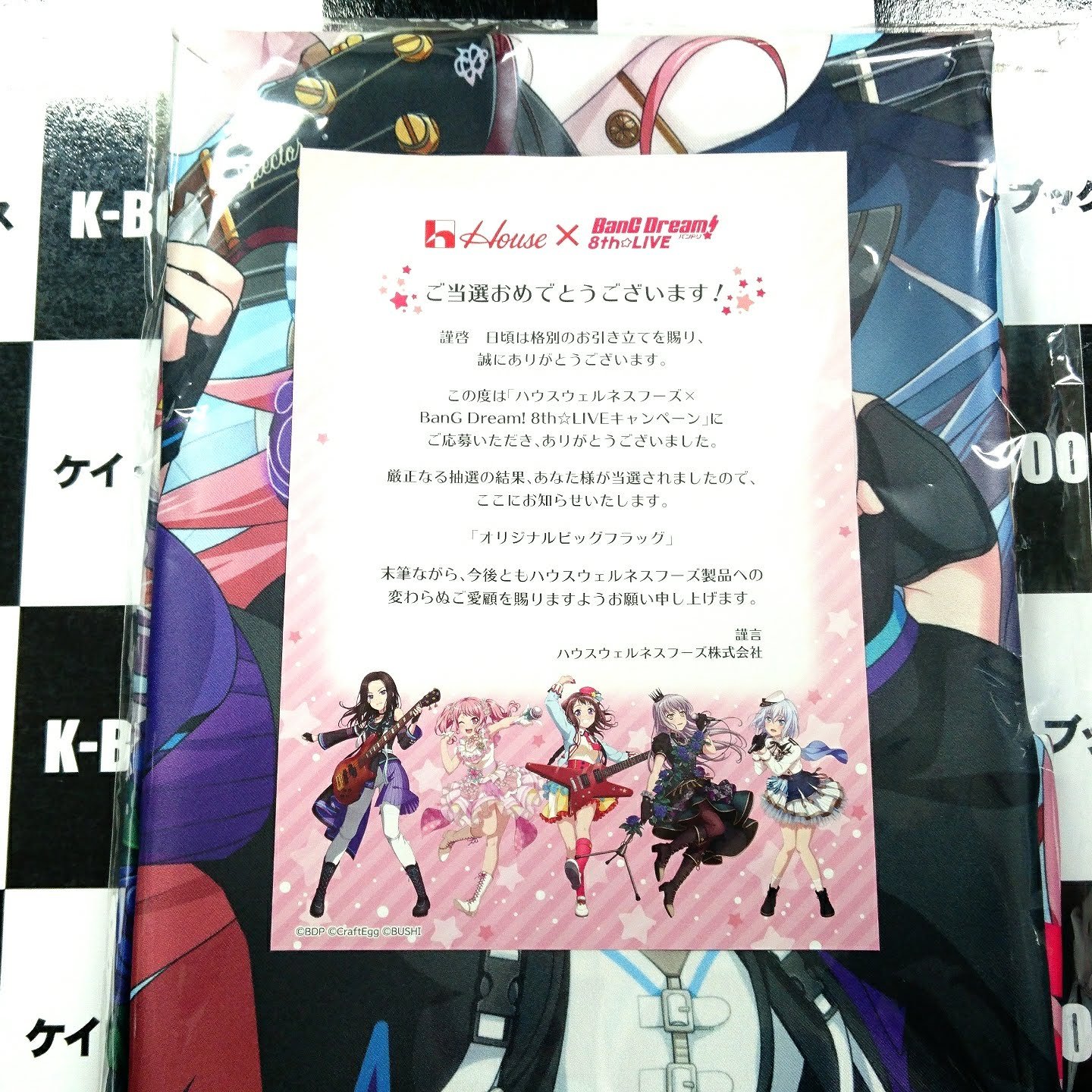 バンドリ! オリジナルビッグフラッグ バンドリ! オリジナルビッグフラッグ 5_000000001481.png?1757647670