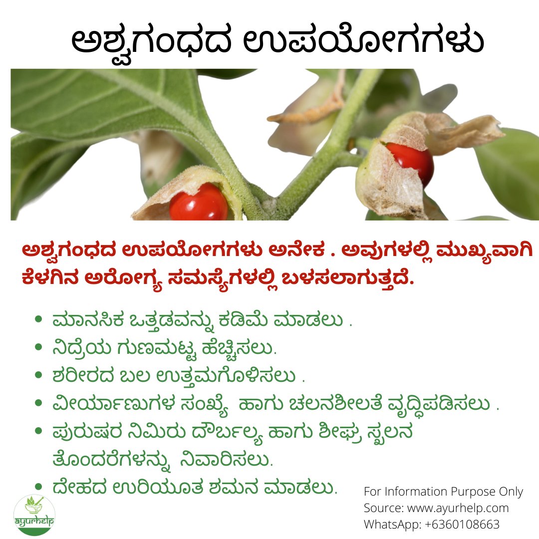 Dr.Savitha Suri on Twitter: "ಅಶ್ವಗಂಧದ ಉಪಯೋಗಗಳು Benefits of Ashwagandha in Kannada https://t.co/xYSlSUB95b #ಅಶ್ವಗಂಧ #ಅಶ್ವಗಂಧಕನ್ನಡ #Kannada #Ayurveda #ayurveda4health https://t.co/2eTai3UahM" / Twitter